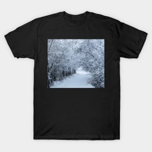 Wintery trail. T-Shirt